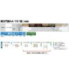 門扉 リクシル 開き門扉AA YS1型 横桟 両開き 07-12/07-14 柱使用 W1400(700+700)×H1200/1400mm LIXIL 開き門扉 リフォーム 2枚目