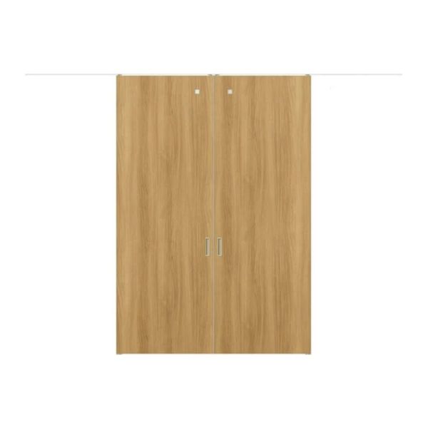 室内引戸 片引戸 標準タイプ 天井埋込方式 ライン枠 RGX ラフィス