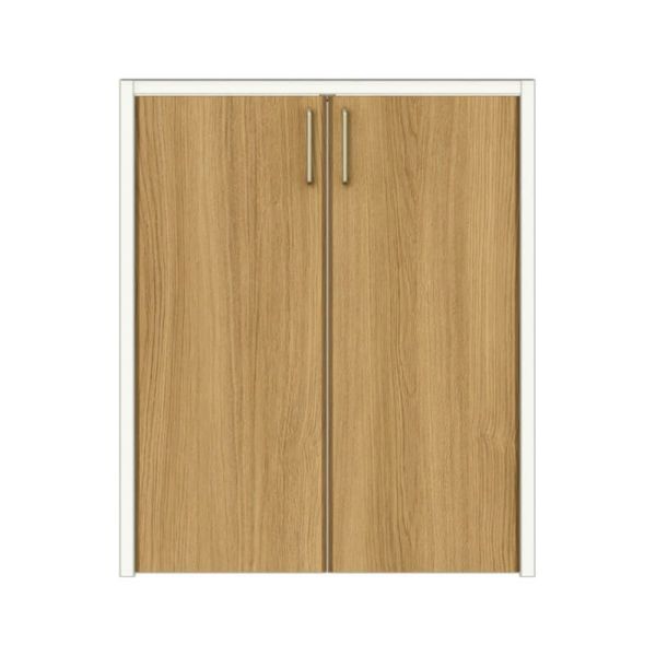 クローゼットドア 開き戸 両開き戸 ノンケーシング枠 RAD 手掛け