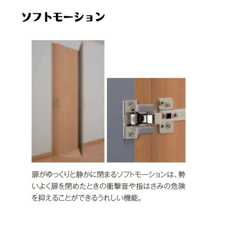 クローゼットドア 片開き戸 0720 ラシッサD ノースフォレスト