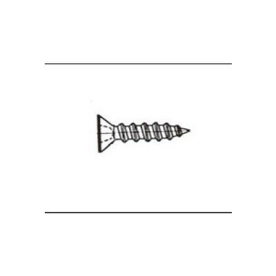 LIXIL/TOSTEM 窓サッシ用部品 その他 ねじ：皿木ねじ M3.1×20[R1Y46] [リクシル][トステム] 2枚目